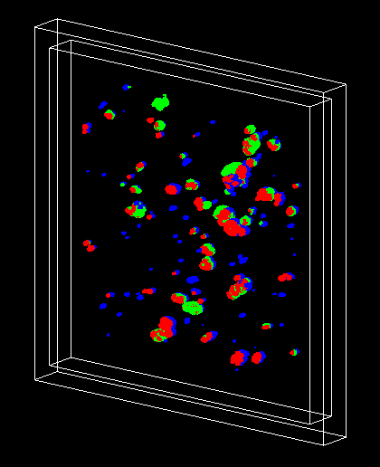 cellularPhantom-Fig2